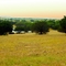Hot Texas Plains