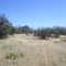 Brushland