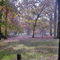 Tippecanoe River State Park Picnic Area