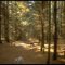 Tippecanoe River State Park