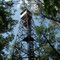 Fire Tower