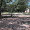 10816 Canfield D1