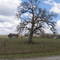 side road north of Columbus