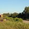 BNSF headed West