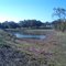Alexis Park