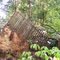 July 29th, 2010 Storm Damage in Smoketree/Monacan Hills Neighborhoods