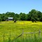 Amherst County, Virginia