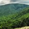Nature's Majesty - Pinnacle Rocks