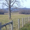 Farm off route 56 across from Cub Creek Rd