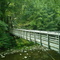 AT footbridge