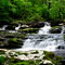 Source of the Moorman's River
