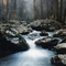 South Fork Mormans
