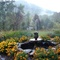 Garden and Mountain fog at Inn at Sugar Hollow Farm, Crzet, VA