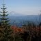 Hood from Larch Mt WA