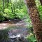 Creek