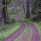 The Road to Turtleback Mountain