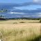 Orcas Property - Field #2