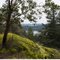 Mossy Viewpoint