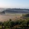 Early morning mist