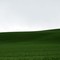 Palouse Farmland