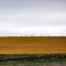 Palouse Farmland