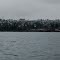 Looking towards Titlow Beach Pano Small - nwicon.com