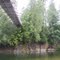Jordan Bridge