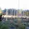 11 Acre Wetland