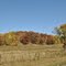Rural Dunn County, WI