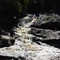 Foster Falls