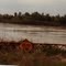 Wabash River, 1995  (Photo Scan)