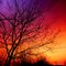 Paintbrush Sky
