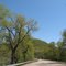 May 2008 - Lake City, Minnesota. Spring scenery on Highway 61 in southeastern Minnesota.