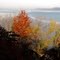 Early Fall Morning On The Mississippi