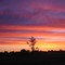 Sunset at Kestrel Ridge, Columbus