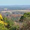 *Love's Lookout Point*