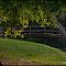 Wooden Bridge at the Duck Pond