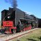 THE STAR OF THE SHOW,7081,ACTUALLY BROUGHT UP THE REAR FOR THE FIRST MILE OR SO UNTIL THEY TOOK THE MAIN DOWN AT THE YARD.JPG