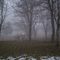 thick fog
