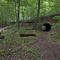 Protars Trail
