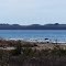 High Island seen from Indian Point