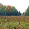 Beaver meadow, Sturgeon Gorge Wilderness