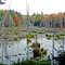 Beaver pond, Sturgeon Gorge Wilderness