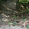 Forest Highway 2200 - Washout