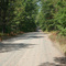 Forest Highway 2210 - Jeepin'