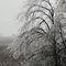 Ice Storm Results 2