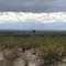 Lone Saguaro - Facing South