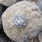 Death Valley Geology