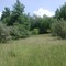 owl creek homestead