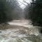 Silent Snowfall over Roaring Water